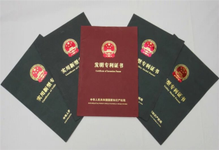 什么叫專利技術規避