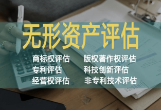 國(guó)外專利無(wú)形資產(chǎn)評(píng)估方法及其應(yīng)用