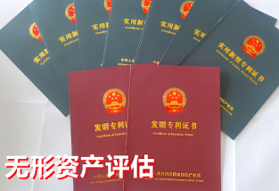 專利評估價值充作實繳資本攤銷，專利評估價值充作實繳資本攤銷怎么算