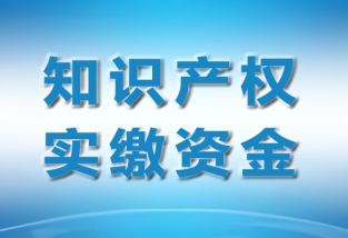 專利融資方式，專利融資方式包括